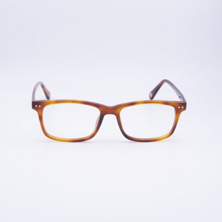 visuale-francesco-c05-02