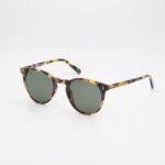 visuale-egisto-c03-puma-sole-01