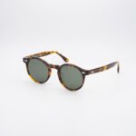 visuale-tullosai-c30-tartaruga-sole-01