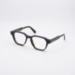 visuale-vai-tartaruga-01