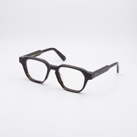 visuale-vai-tartaruga-01