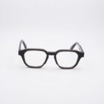 visuale-vai-tartaruga-02