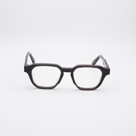 visuale-vai-tartaruga-02