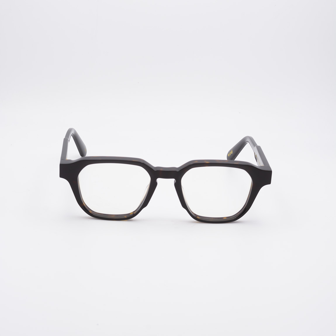 visuale-vai-tartaruga-02