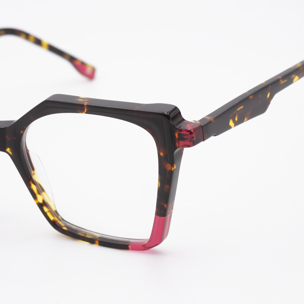 jplus-leica-2229-col-12-04