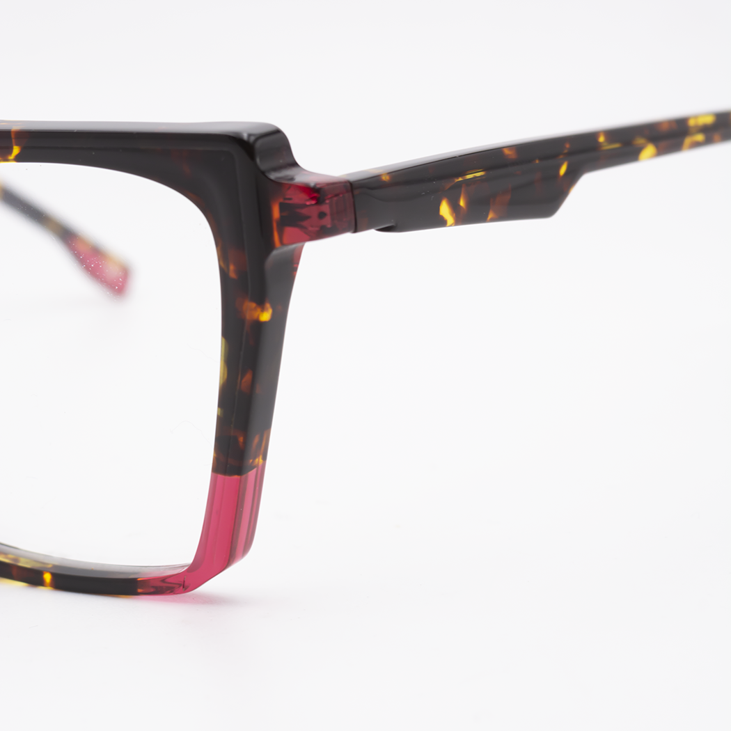 jplus-leica-2229-col-12-05